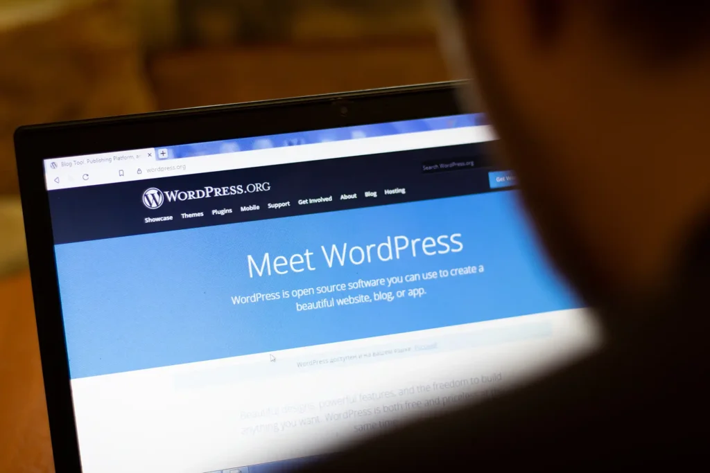 a person working on wordpress